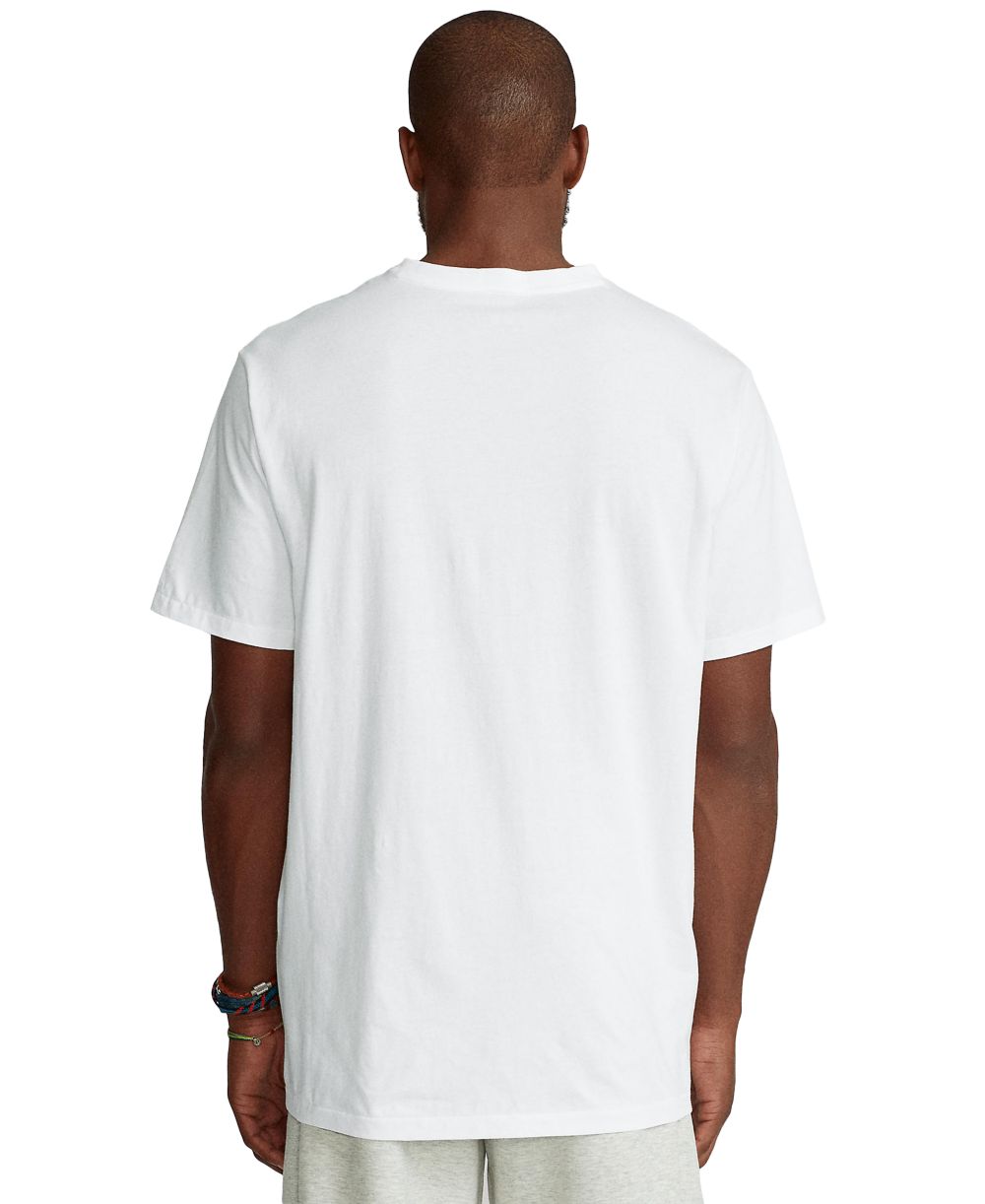 Men's Big & Tall V-Neck T-Shirt