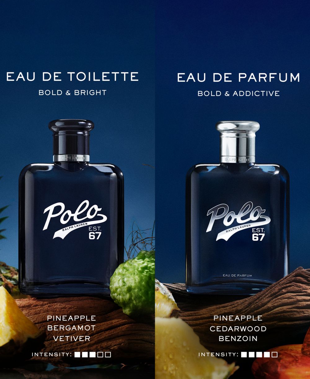 2-Piece Polo 67 Eau de Parfum Father's Day Gift Set