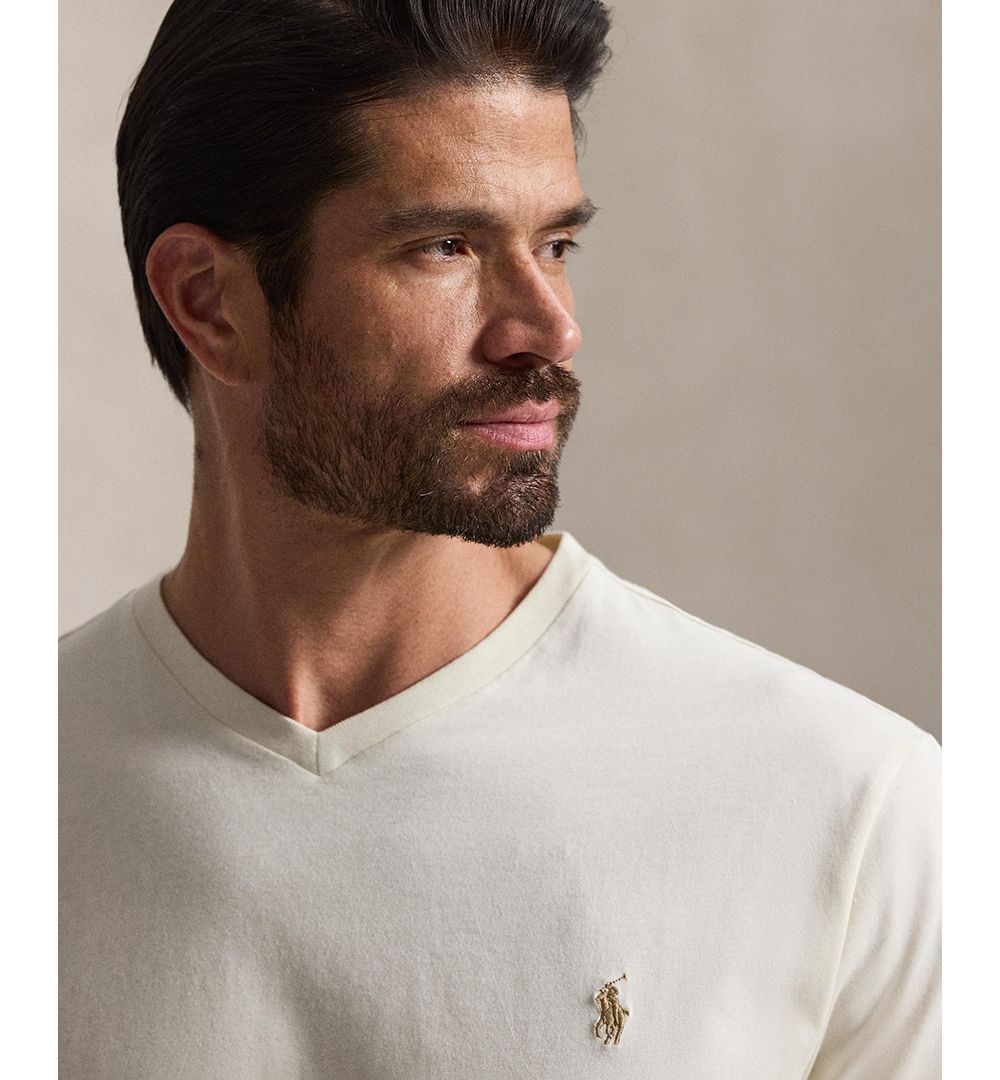 Men's Big & Tall V-Neck T-Shirt