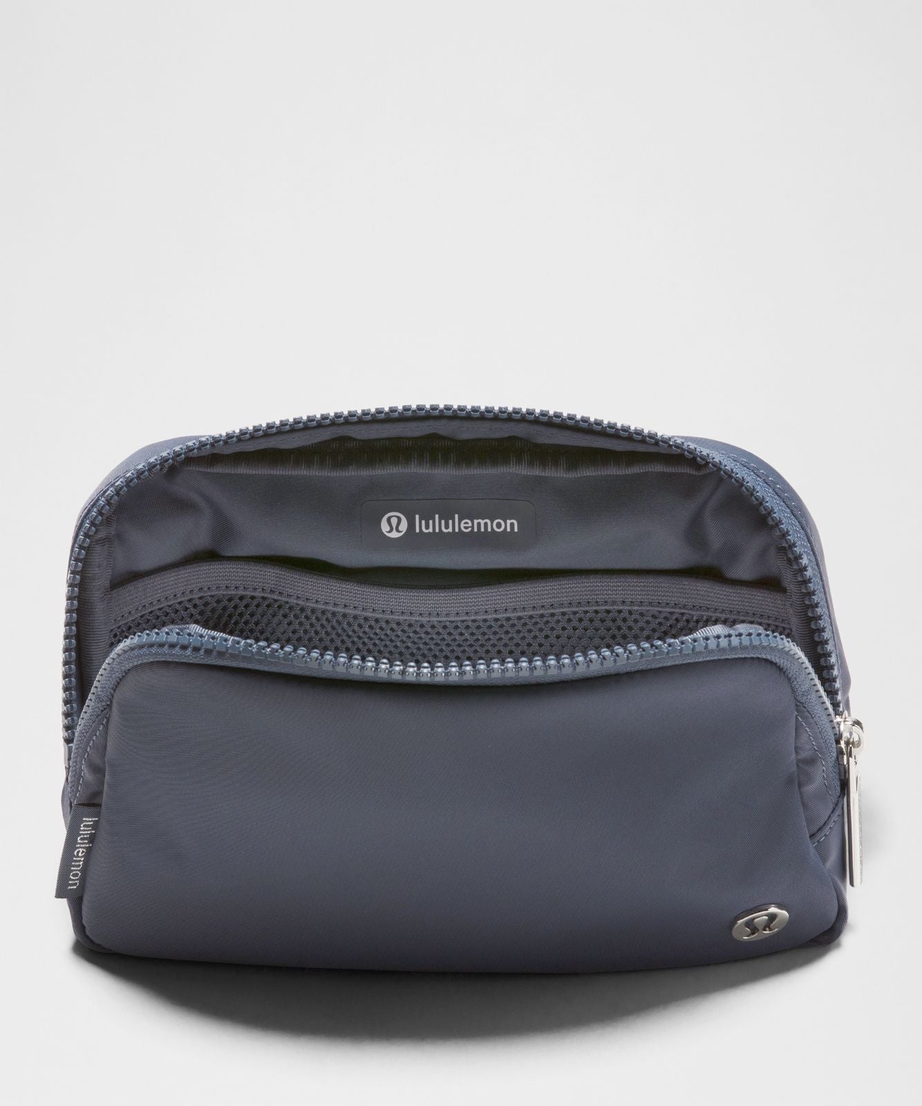 Everywhere Belt Bag 1L Dusty Diamond/Silver