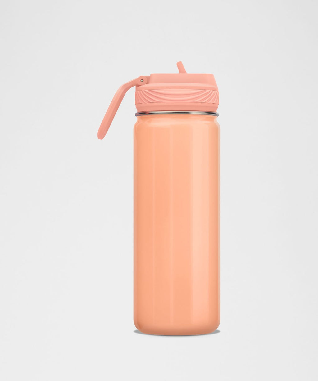 Back to Life Sport Bottle 18oz Straw Lid *Shine Plum Peach/Pink Pearl